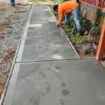 Paw prints in the Concrete