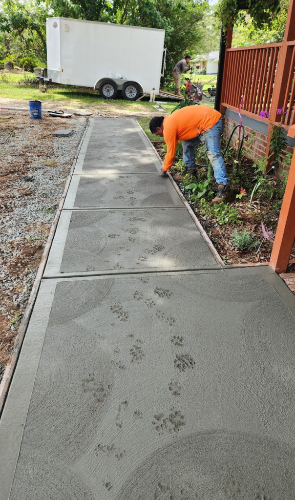 Paw prints in the Concrete